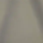 2432786 - SALVIA